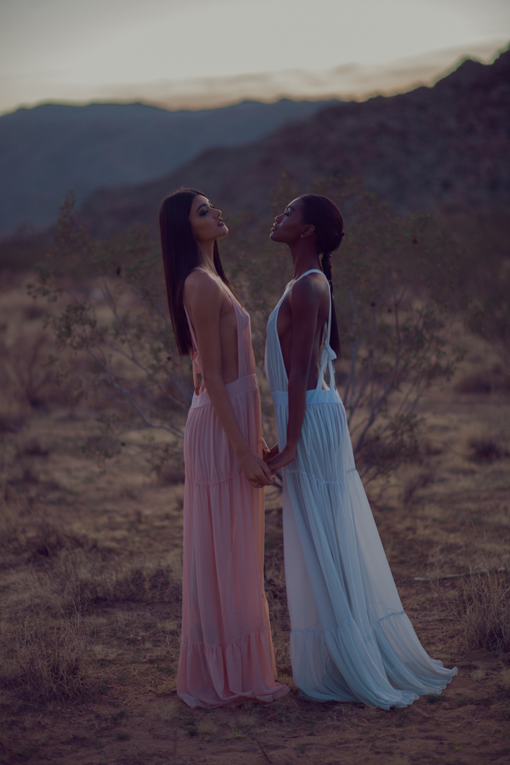 Milan Dixon