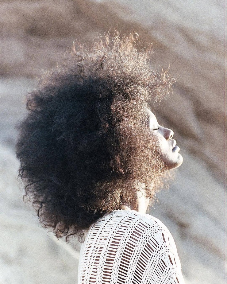 Milan Dixon