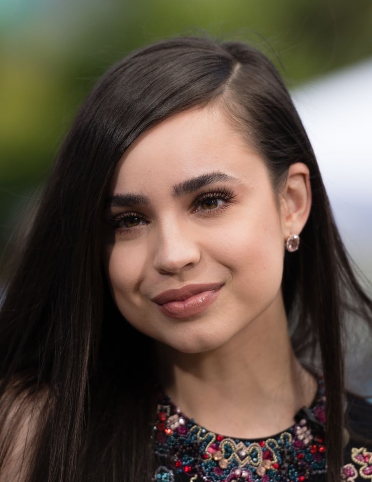 Sofia Carson Image