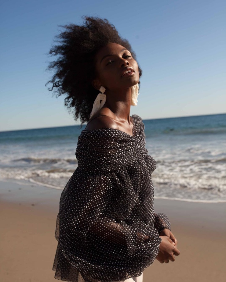 Milan Dixon