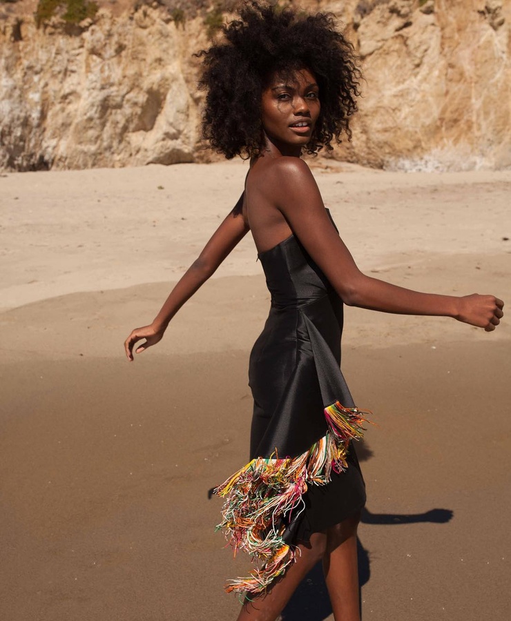 Milan Dixon