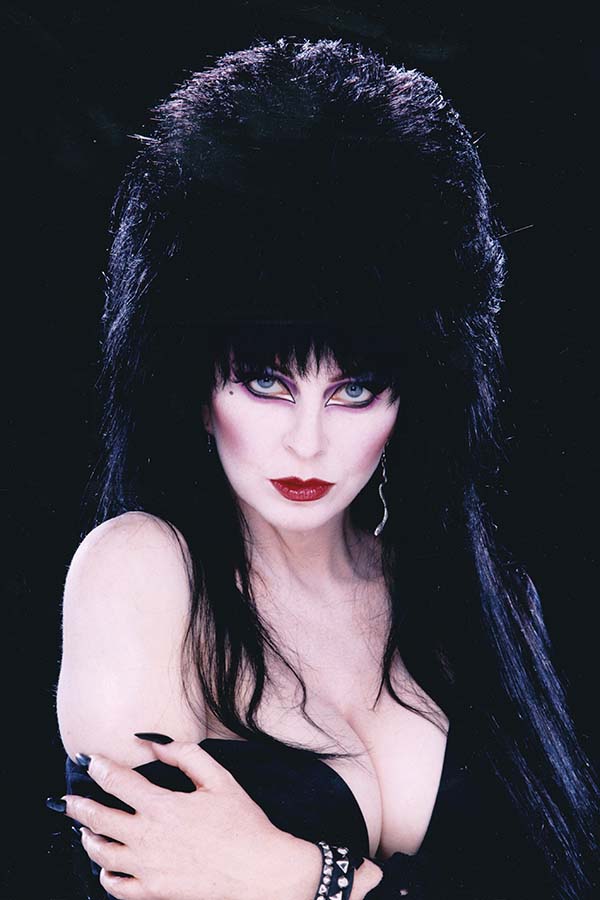 Elvira: The Shape of Elvira