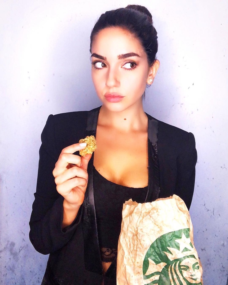 Paniz Zade
