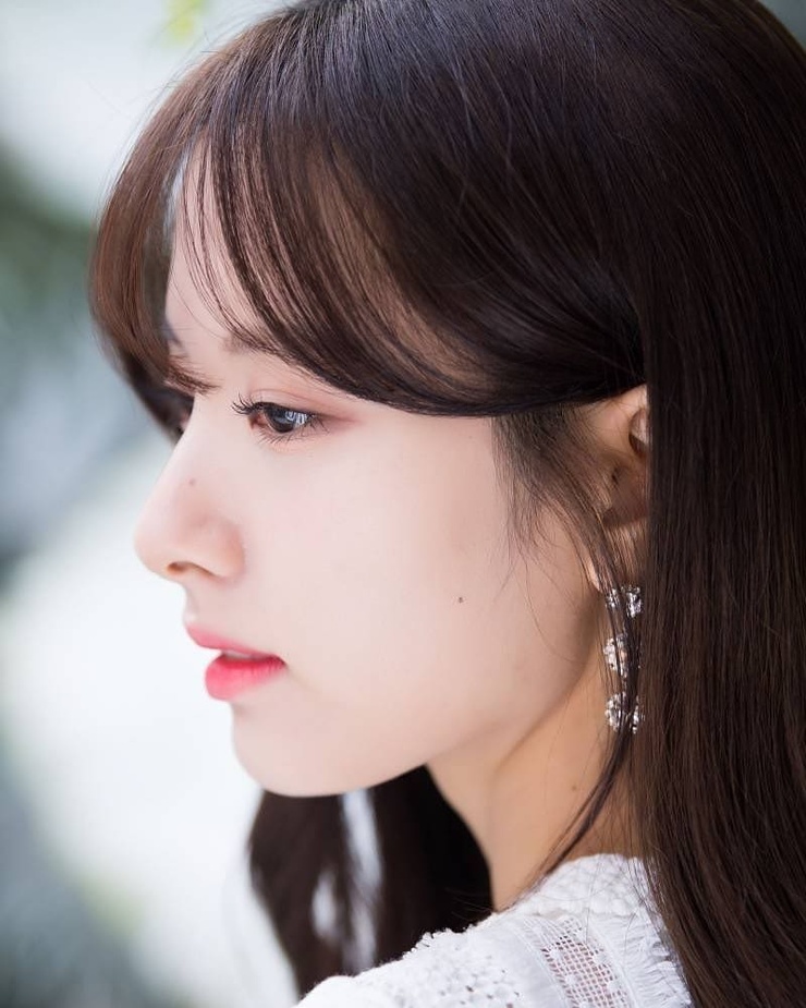 Bona