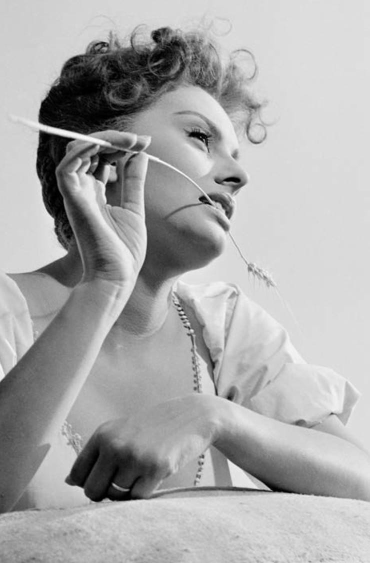 Sophia Loren Sophia Loren