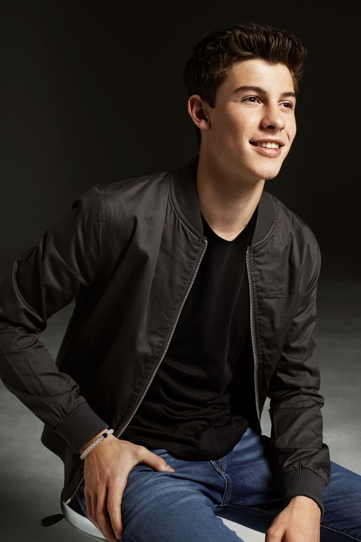 Picture of Shawn Mendes