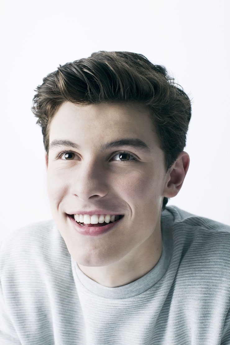 Picture of Shawn Mendes