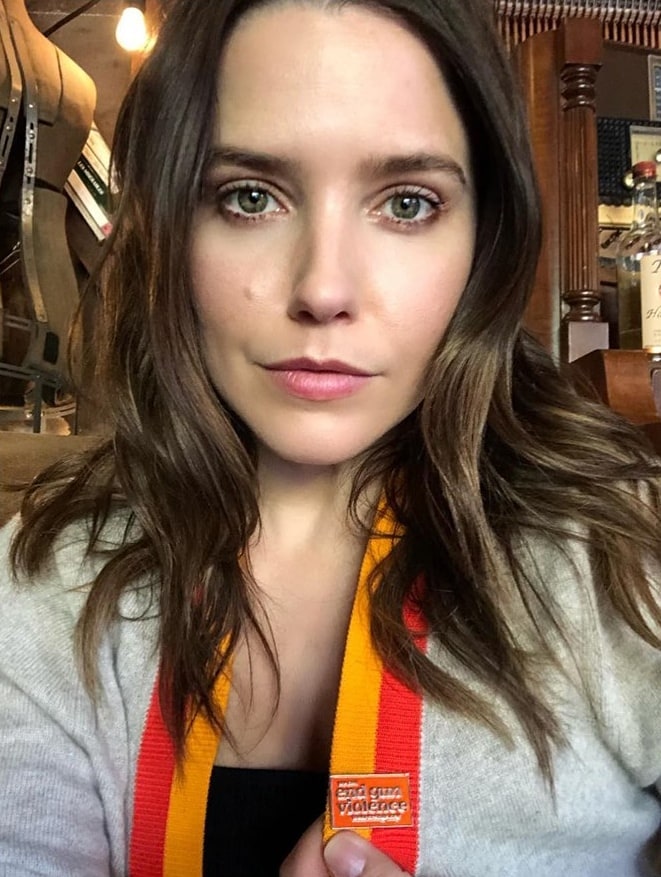 Sophia Bush picture