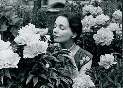 Dilys Hamlett