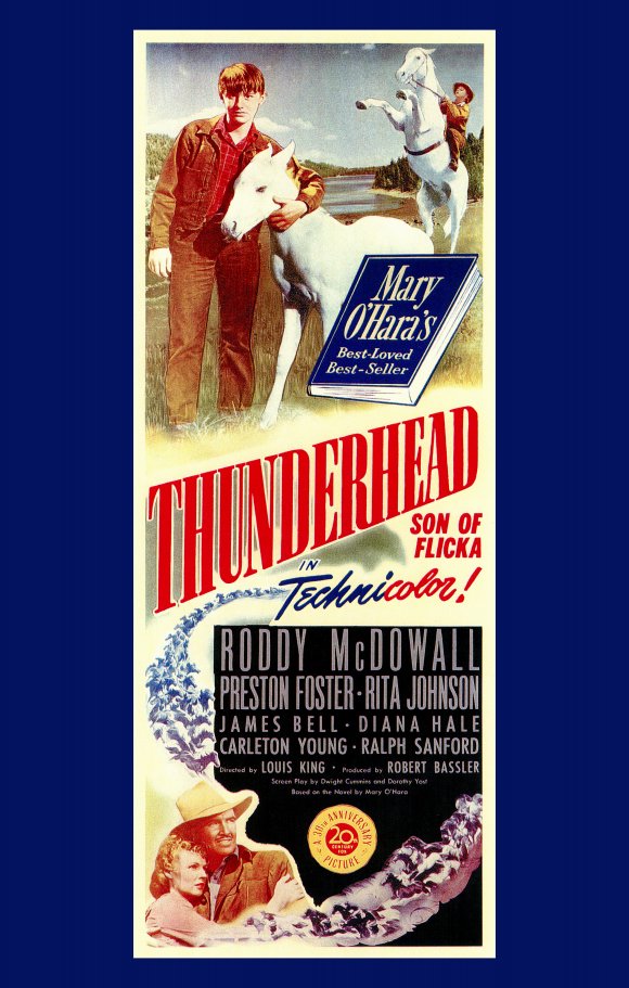 Thunderhead: Son of Flicka