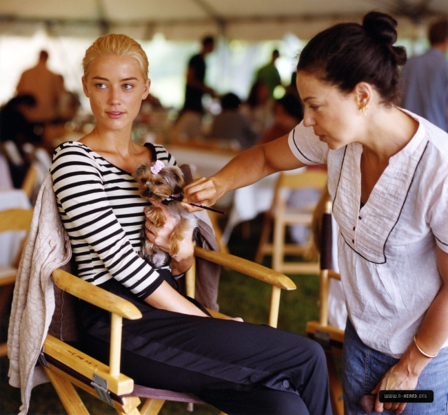 Amber Heard Amber Heard