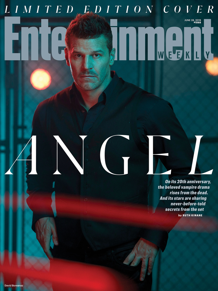 David Boreanaz