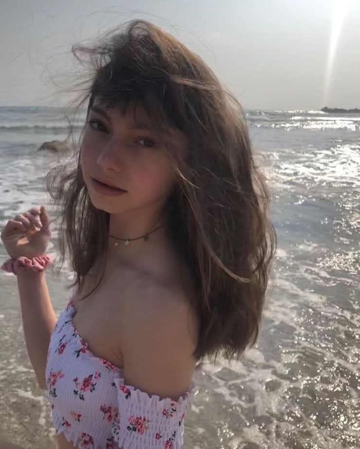 Lauren Lindsey Donzis