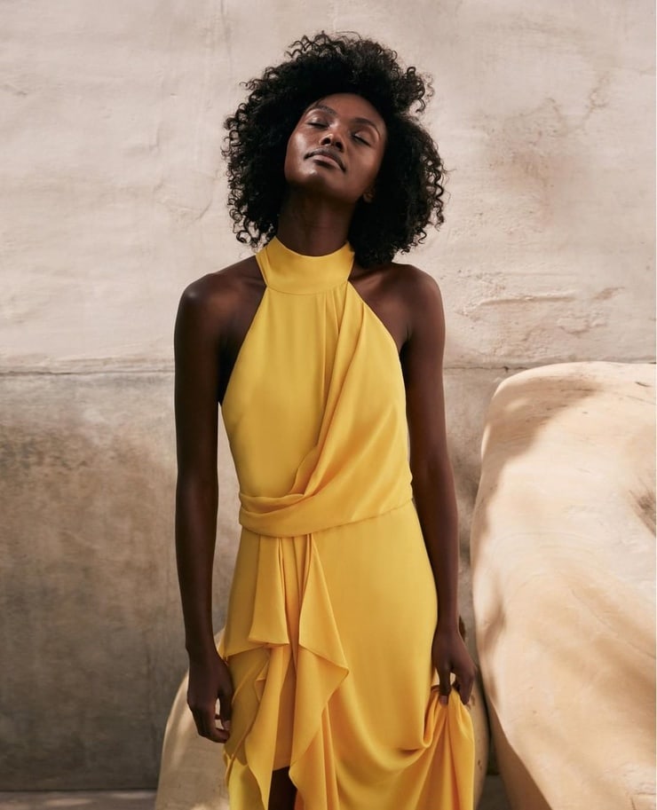 Milan Dixon