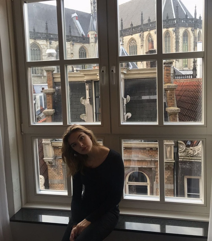 Brighton Sharbino
