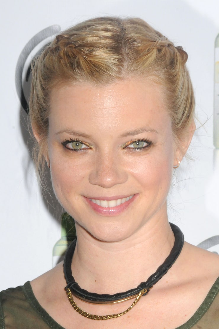 Picture Of Amy Smart