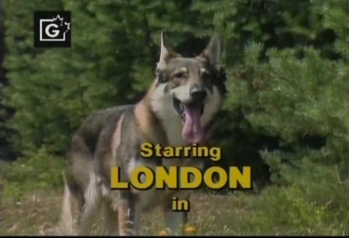 The Littlest Hobo