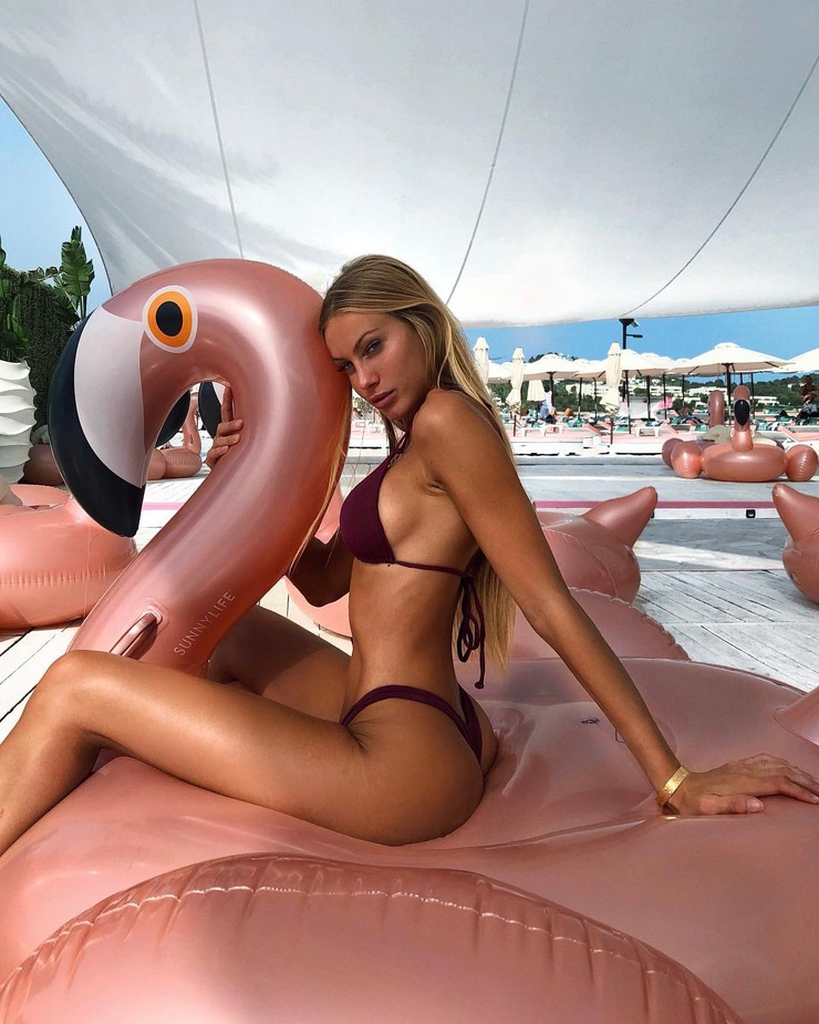 Taylor Mega Taylor Mega