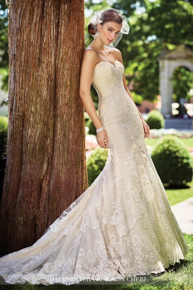 Lorena RAE
