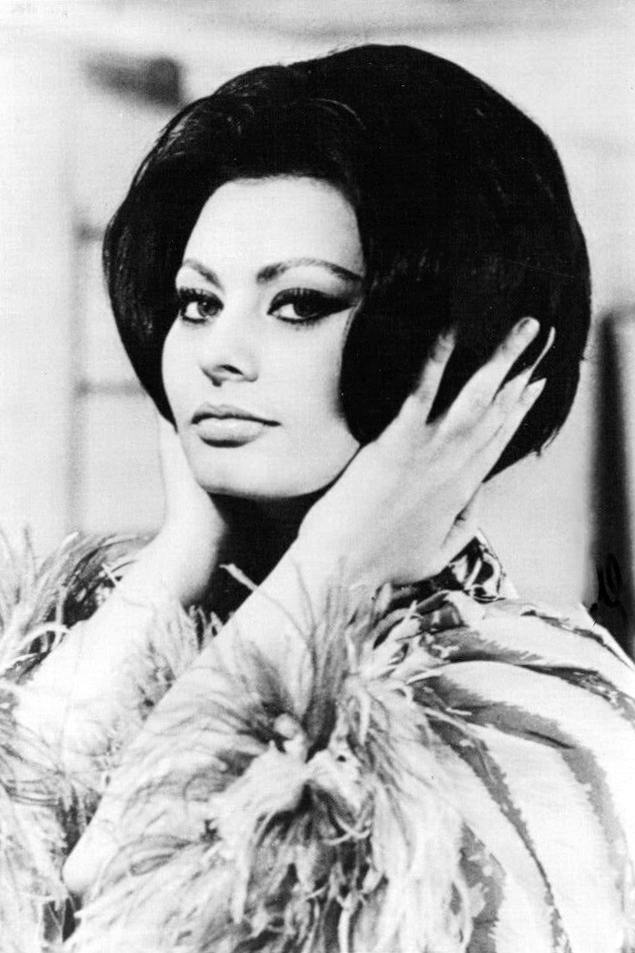 Sophia Loren Sophia Loren