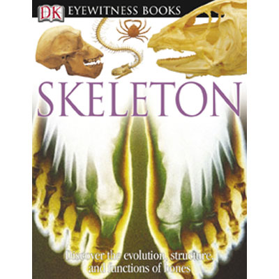 Eyewitness: Skeleton