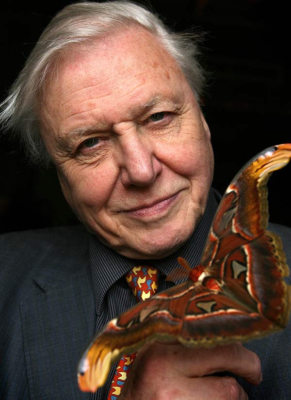 David Attenborough David Attenborough