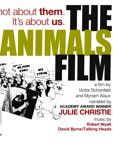 The Animals Film
