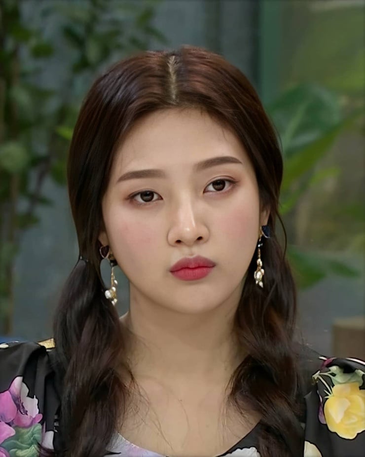 Joy (Park Soo Young) Joy (Park Soo Young)