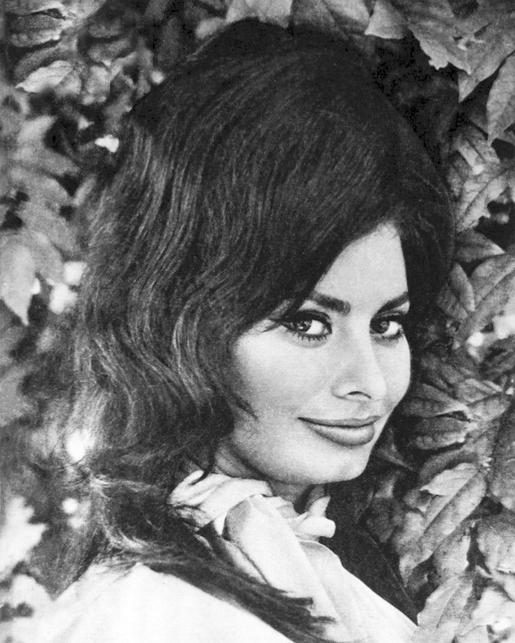 Sophia Loren Sophia Loren