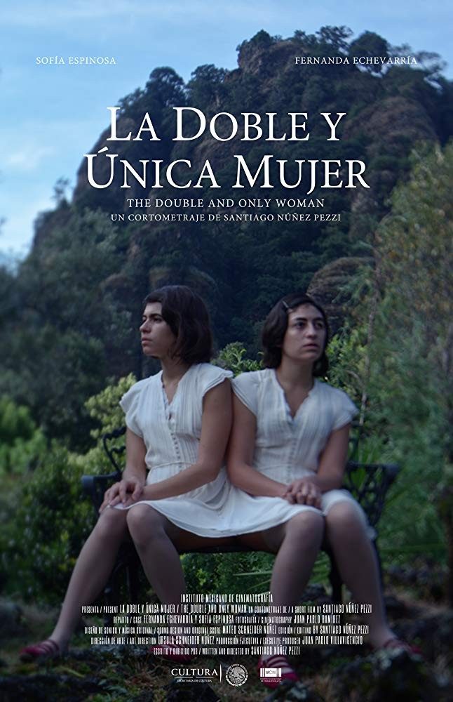 The double and only woman (2018)