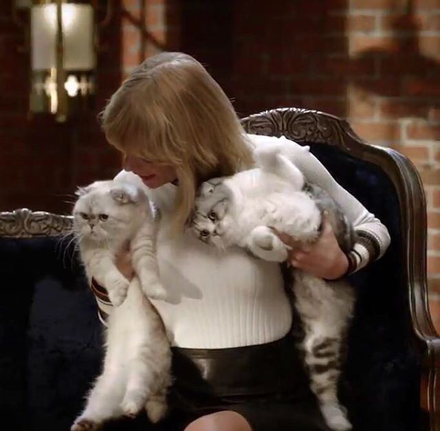 Taylor Swift Taylor Swift