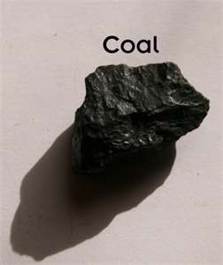 Coal