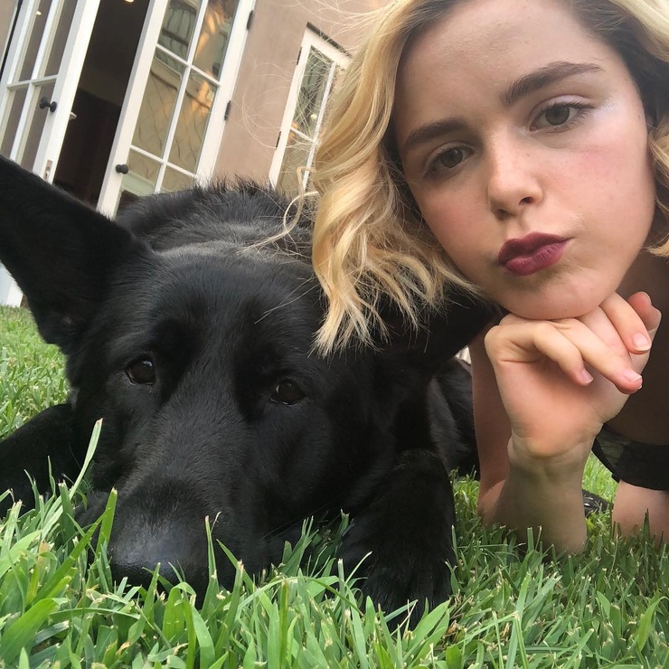 Kiernan Shipka
