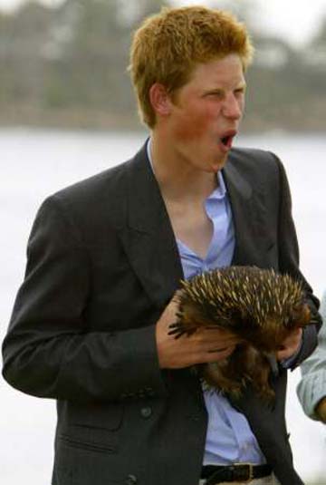 Prince Harry Windsor