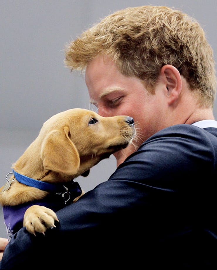 Prince Harry Windsor