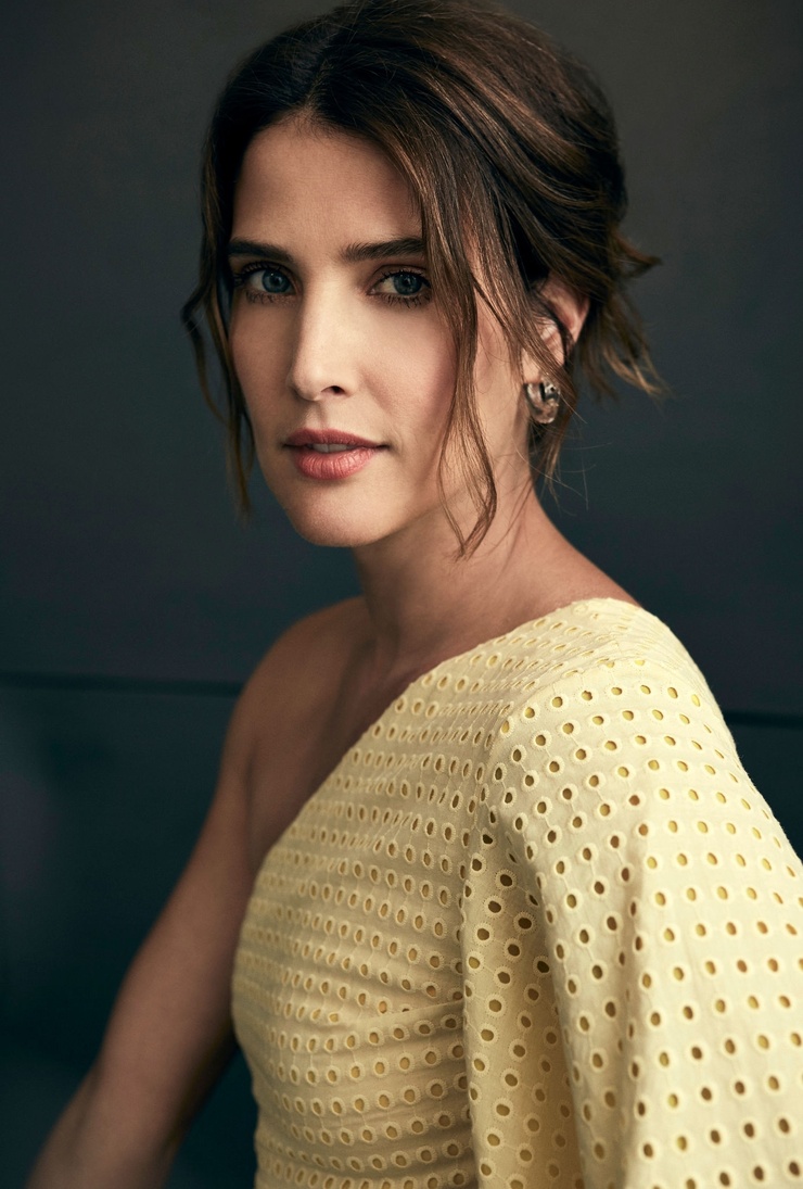 Picture of Cobie Smulders