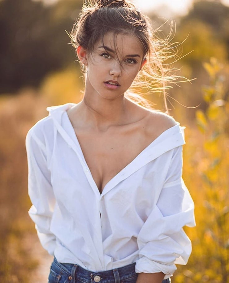 NICOLA CAVANIS NICOLA CAVANIS