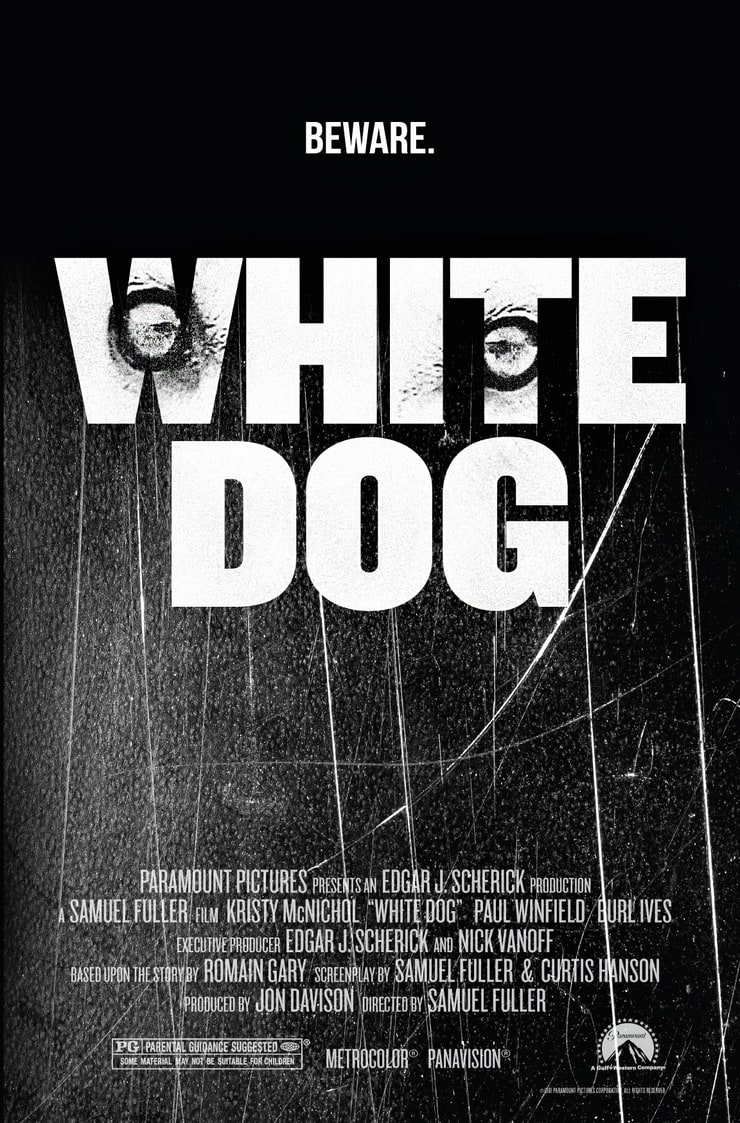 Picture of White Dog