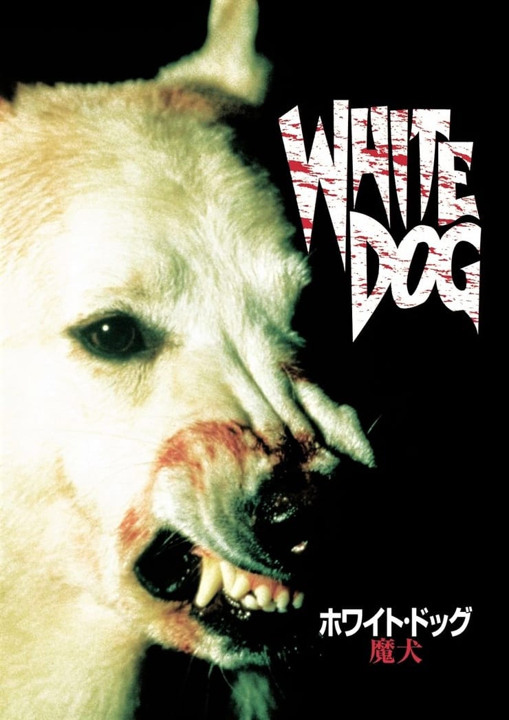 White Dog