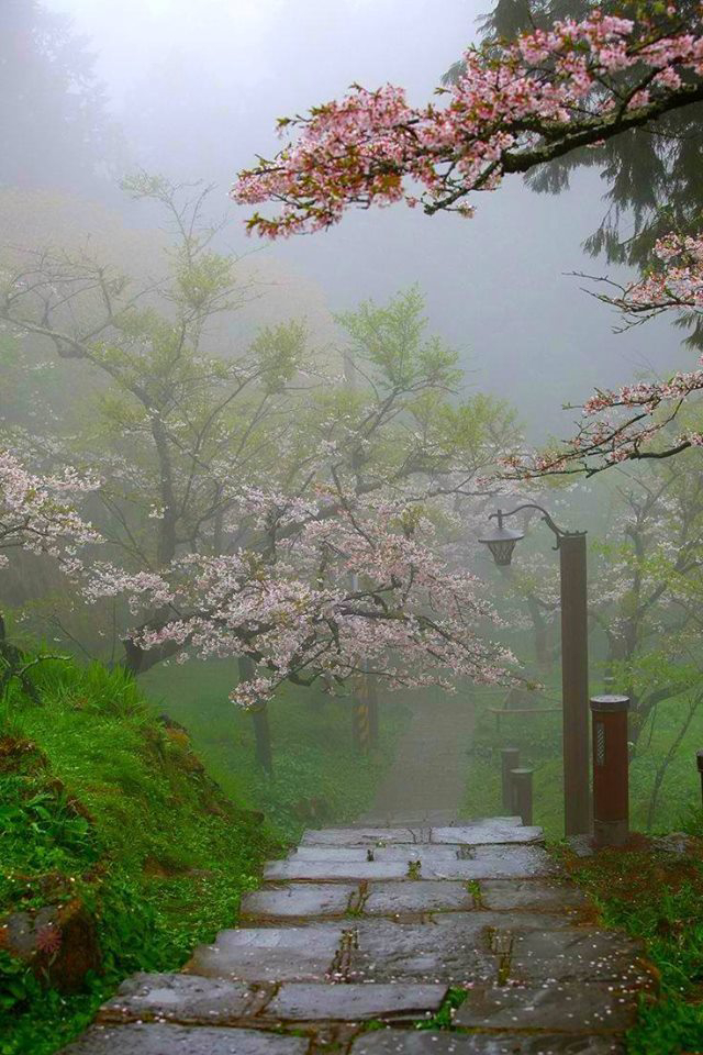 South Korea