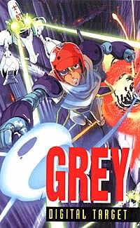 Grey Digital Target