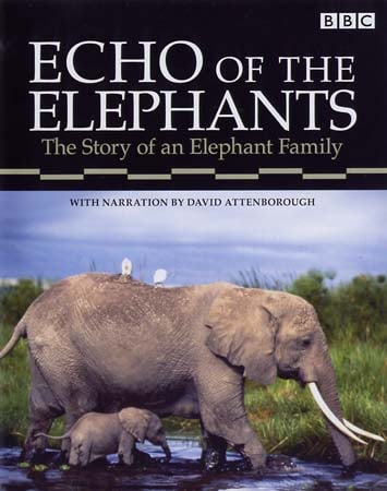 Echo of the Elephants