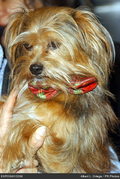 Baxter
