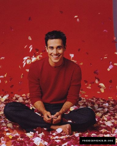 Freddie Prinze Jr.