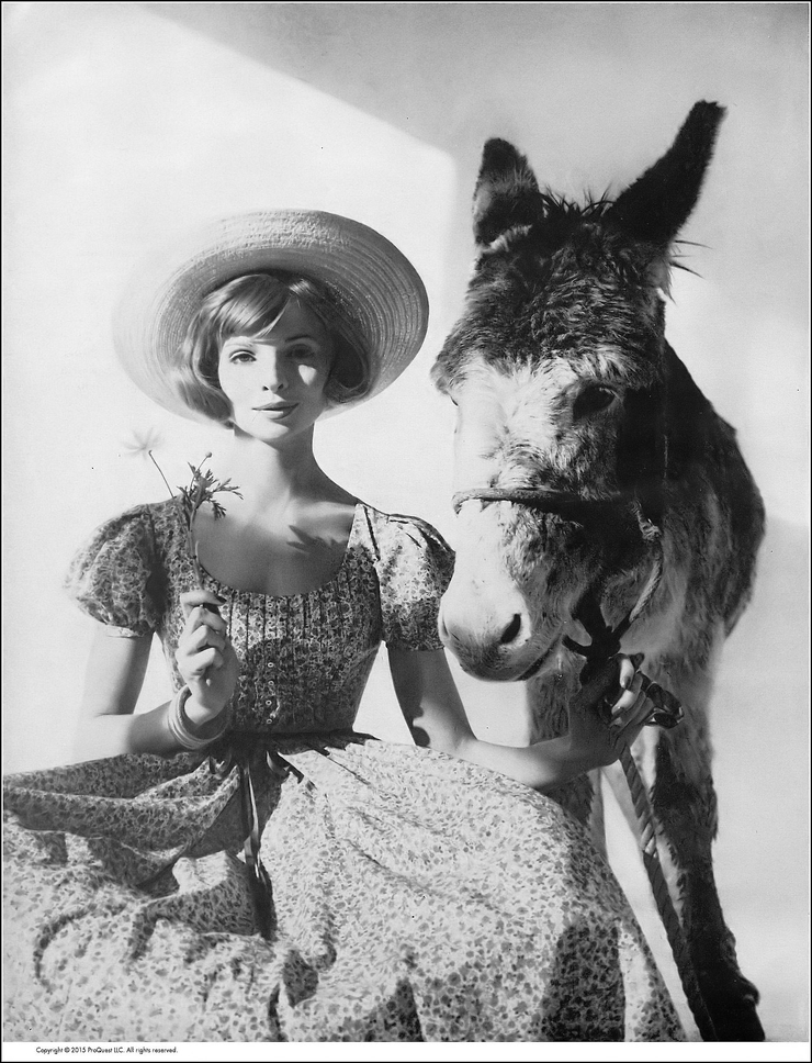 Iris Bianchi