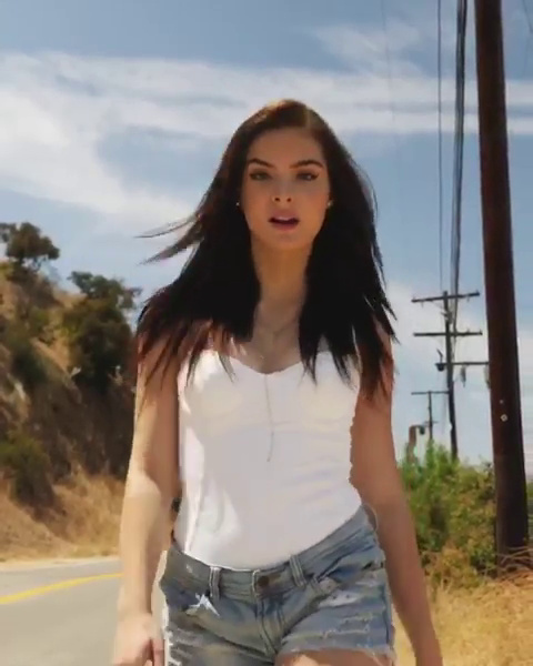 Brighton Sharbino