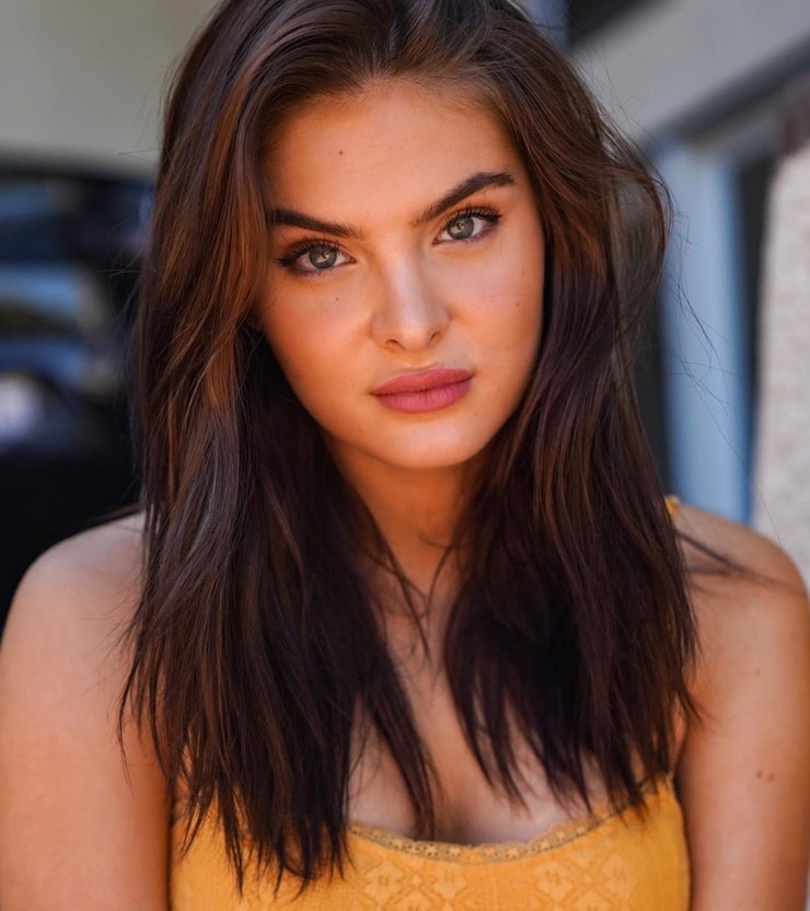 Brighton Sharbino