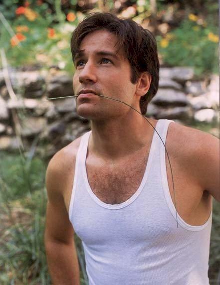 David Duchovny