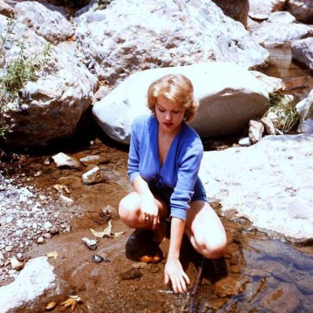 Corinne Cole