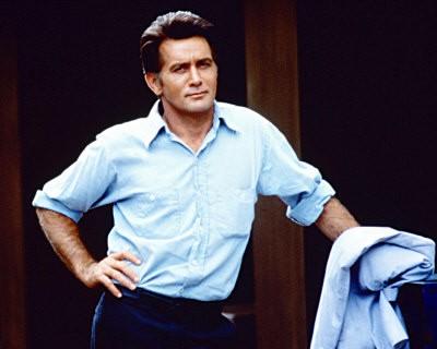 Martin Sheen
